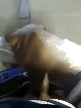 Snapshot of 92donis chatting on November 2025 07:24:01 PM 92donis online show from November 2025 07:24:01 PM