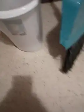 Crossedsissy online show from March 2026 08:58:02 PM