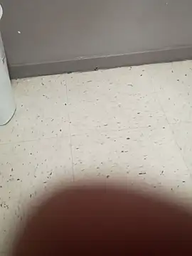 Crossedsissy online show from March 2026 01:20:02 AM