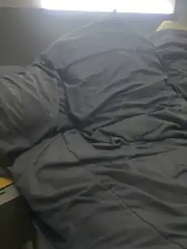 pophiboy online show from November 2025 03:52:02 PM