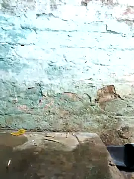 agra playboy online show from March 2026 01:05:01 PM