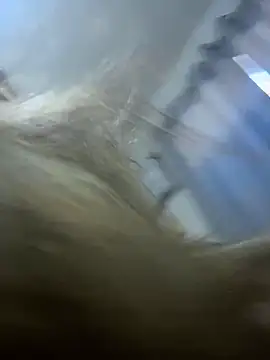 sophiemonroevip online show from April 2026 12:17:01 PM