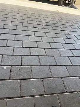 kamo012000 online show from February 2026 10:09:02 AM