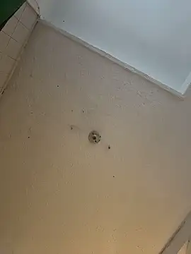 cam11 07 online show from April 2026 09:37:02 PM