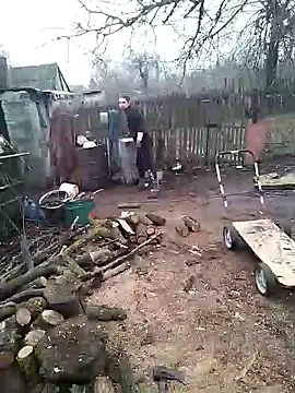 Alexilon online show from January 2026 12:18:01 PM