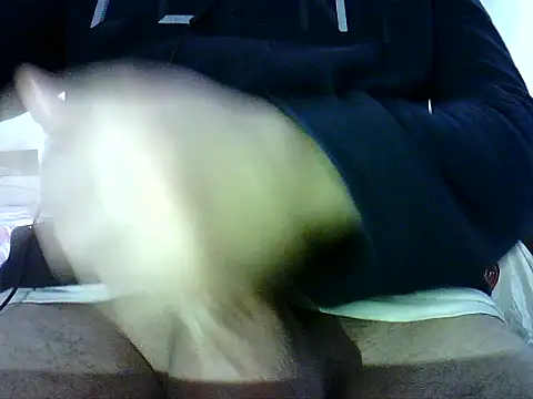 photo3995 online show from January 2026 09:47:02 AM