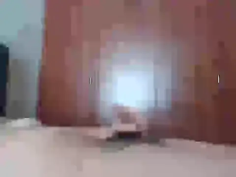 Snapshot of Culazodeantonellarocuzzo chatting on February 2026 03:21:02 PM Culazodeantonellarocuzzo online show from February 2026 03:21:02 PM