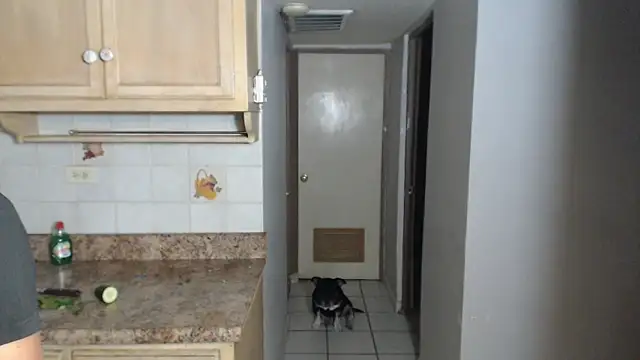 BlondZilla online show from November 2025 12:49:02 AM