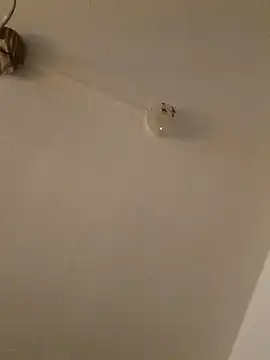 Snapshot of LightskinBumpa chatting on November 2025 02:09:01 AM LightskinBumpa online show from November 2025 02:09:01 AM