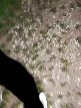 ARTANIS20 online show from October 2025 08:20:01 PM