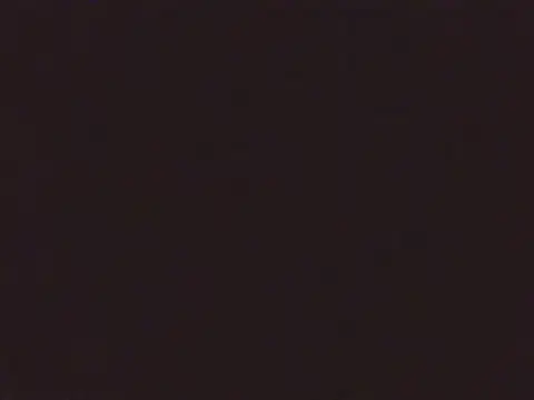 Snapshot of Laurenflex chatting on October 2025 02:03:02 PM Laurenflex online show from October 2025 02:03:02 PM