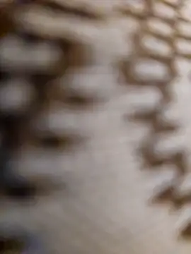 Snapshot of mojaymort chatting on November 2025 10:54:01 PM mojaymort online show from November 2025 10:54:01 PM