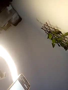 Loiroatv36 online show from April 2026 10:02:02 AM