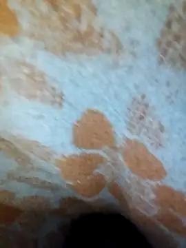 ParousFlow online show from April 2026 10:10:02 PM