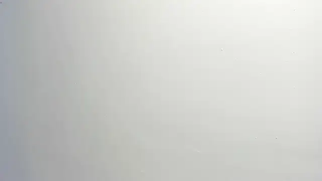 ximena vasquez8 online show from January 2026 03:09:02 AM