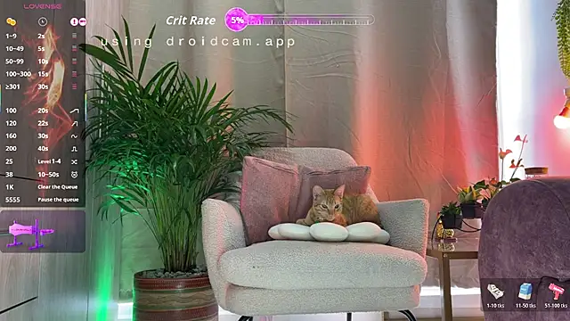 jhosepMoreno online show from February 2026 07:55:02 PM