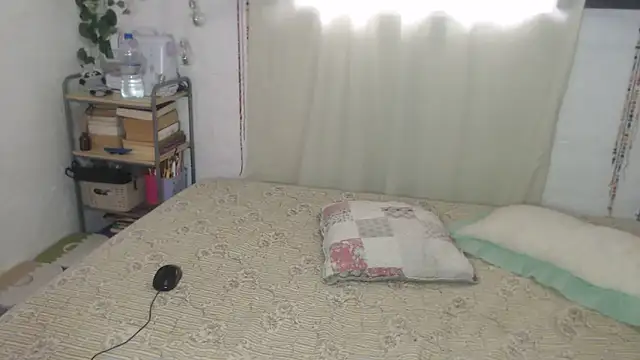 porndollbaby online show from June 2026 08:39:02 PM