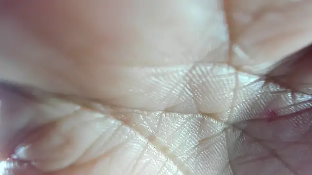 Snapshot of Mindy_19 chatting on December 2025 11:05:01 AM Mindy 19 online show from December 2025 11:05:01 AM