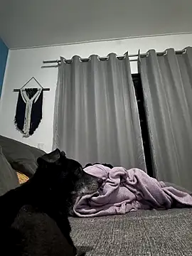 Snapshot of mikeara90 chatting on October 2025 10:31:01 PM mikeara90 online show from October 2025 10:31:01 PM