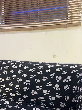 cody fox10 online show from April 2026 01:17:02 PM