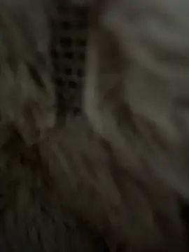 anonimgirl18old online show from February 2026 08:35:02 AM