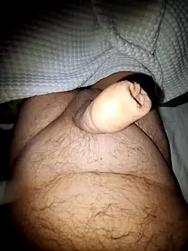 minnetird online show from October 2025 07:12:01 AM