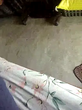 Telugu person12 online show from September 2025 06:51:02 AM