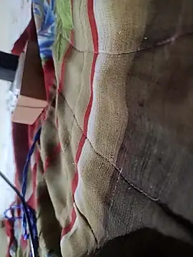 Telugu person12 online show from February 2026 09:00:02 PM