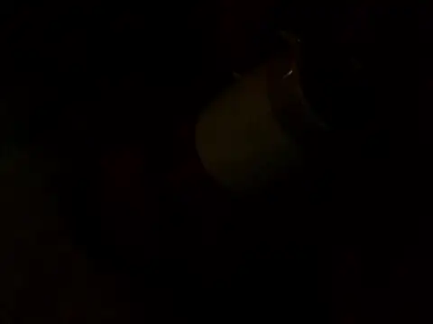 Snapshot of PointXXL chatting on December 2025 02:33:01 PM PointXXL online show from December 2025 02:33:01 PM