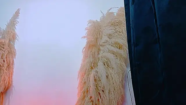 JulietaDavis online show from February 2026 09:41:01 AM