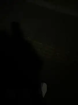 SL NIKI PUBLIC online show from December 2025 11:07:01 AM