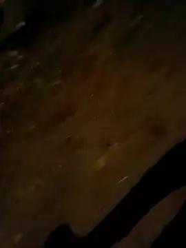 Snapshot of jvdzj-0_ chatting on October 2025 09:50:01 PM jvdzj-0  online show from October 2025 09:50:01 PM