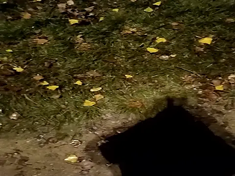 Snapshot of jvdzj-0_ chatting on October 2025 10:44:02 PM jvdzj-0  online show from October 2025 10:44:02 PM