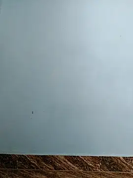 Snapshot of tight_pussy57 chatting on November 2025 05:16:02 AM tight pussy57 online show from November 2025 05:16:02 AM