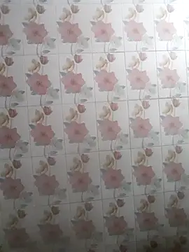 Snapshot of bhaijaan66 chatting on November 2025 07:03:01 PM bhaijaan66 online show from November 2025 07:03:01 PM