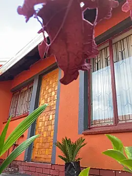 BaggyDirt online show from February 2026 06:44:02 AM