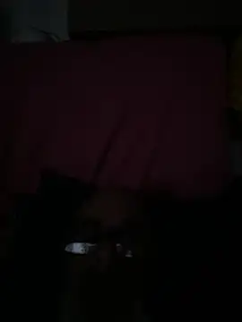crisfootlicker online show from July 2026 09:25:02 PM