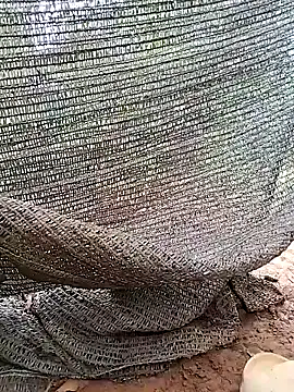 Tina 2pp online show from November 2025 11:27:02 PM