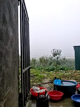 yoowwmr online show from November 2025 12:11:02 AM