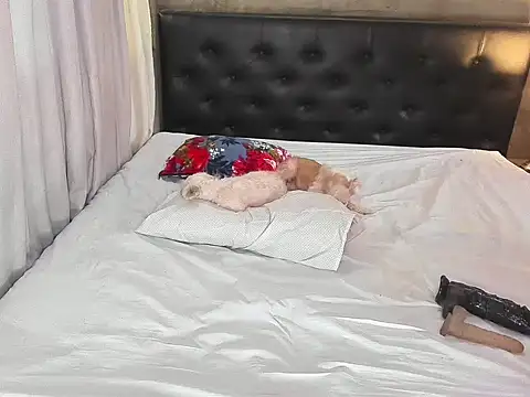 Snapshot of hotbabymaria chatting on November 2025 01:26:02 AM hotbabymaria online show from November 2025 01:26:02 AM