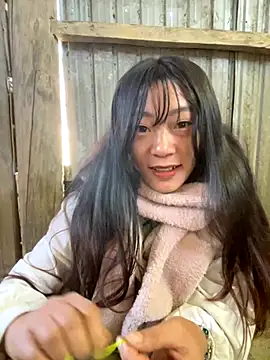 isaaa5 online show from November 2025 02:58:01 AM