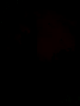 Ori-Lynk online show from December 2025 06:29:02 AM