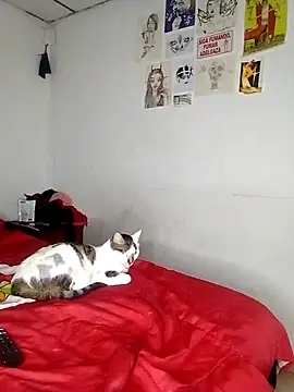 Snapshot of venusobryan_55 chatting on September 2025 11:07:01 PM venusobryan 55 online show from September 2025 11:07:01 PM