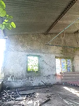 Snapshot of Sunny_cute_love chatting on October 2025 03:04:01 AM Sunny cute love online show from October 2025 03:04:01 AM