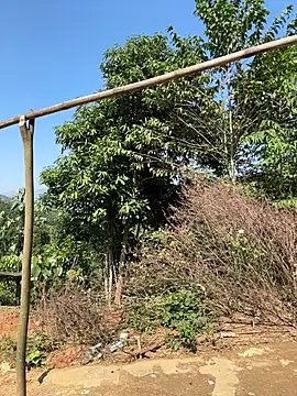 ThiHa003 online show from November 2025 03:52:01 AM