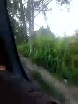 jeff pepoer online show from February 2026 10:52:02 AM