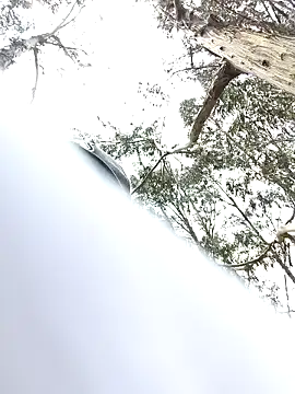 Thomasjons  online show from April 2026 04:46:02 PM