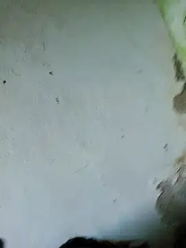 Snapshot of perversa068 chatting on February 2026 11:27:01 AM perversa068 online show from February 2026 11:27:01 AM