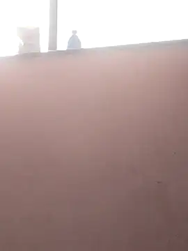 sneha bebo online show from March 2026 09:26:02 AM