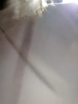 Snapshot of daisy_will chatting on December 2025 02:08:02 AM daisy will online show from December 2025 02:08:02 AM